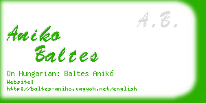 aniko baltes business card